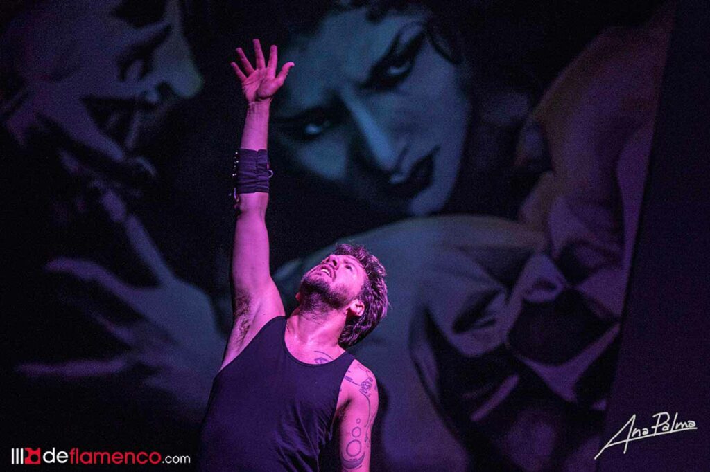 José Maldonado - Galería - Festival de Jerez