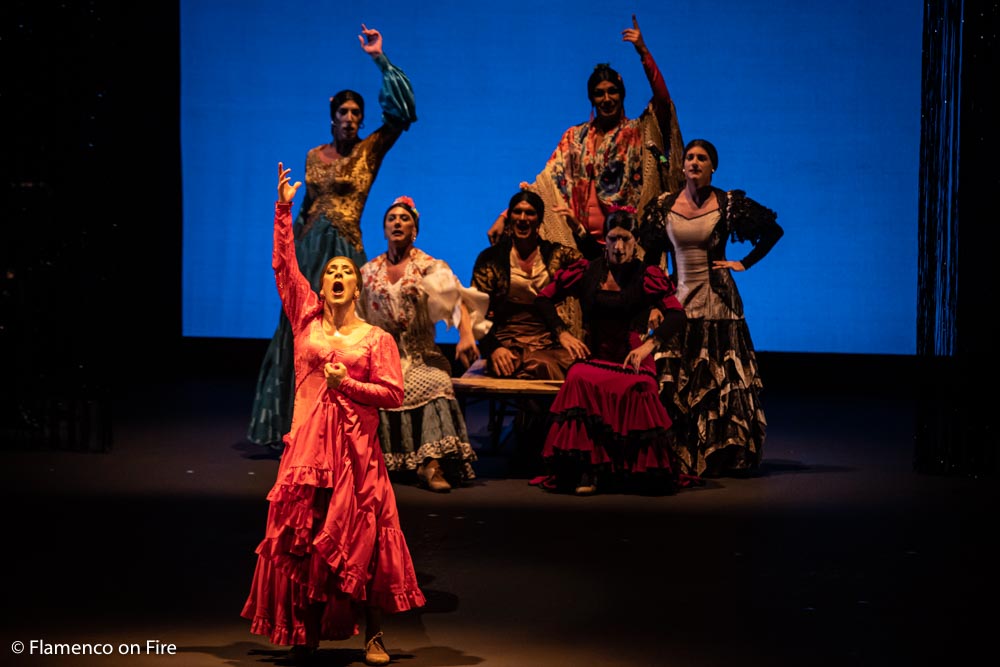 Manuel Liñán ¡Viva! - Flamenco on Fire