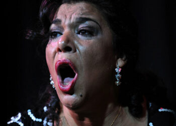 La Macanita - Suma Flamenca