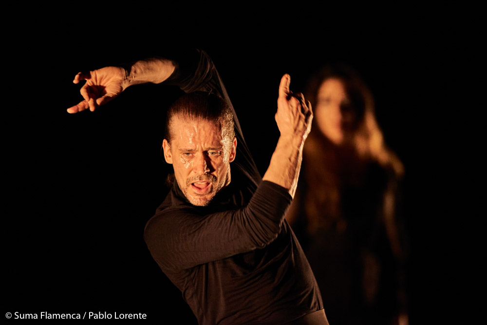 Alfonso Losa - Flamenco: Espacio creativo - Suma Flamenca - foto: Pablo Lorente