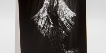 Calendario Flamenco 2022 - Ana Palma