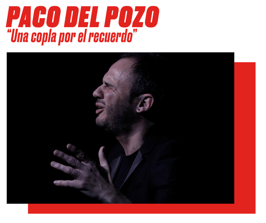 Paco del Pozo - Miradas flamenkas