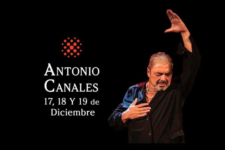 Antonio Canales regresa a la intimidad de un tablao flamenco