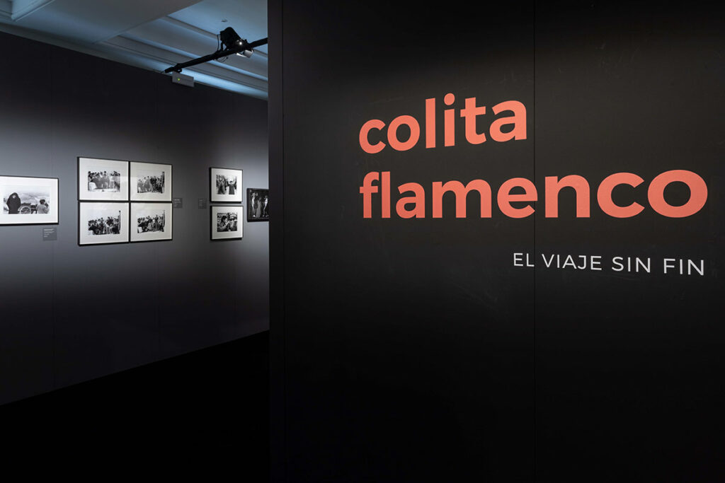 Colita Flamenco - Un viaje sin fin