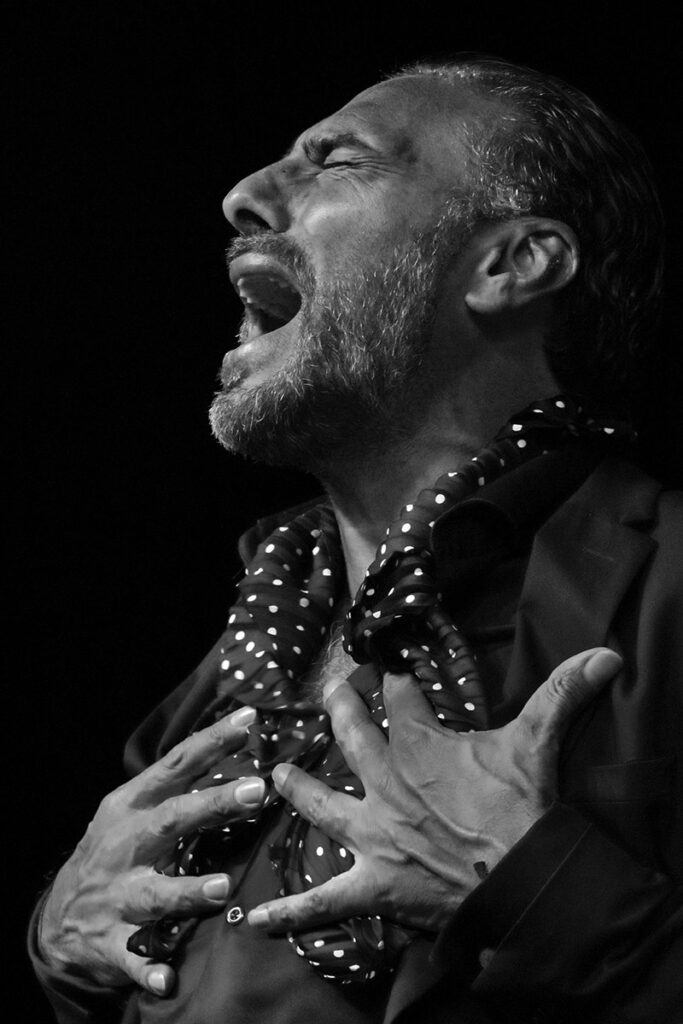 Pedro El Granaíno - foto: Jesús Amat