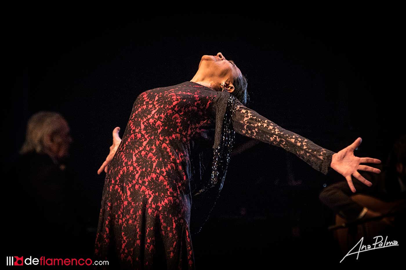 Compañía de Danza Flamenca Carmen Cortés – Festival de Jerez (fotografías)