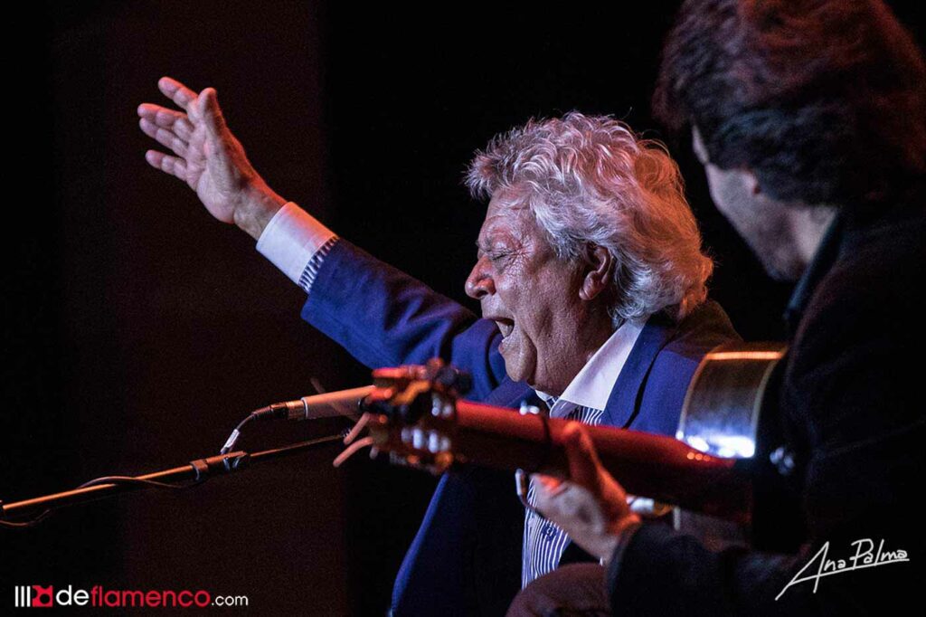 Pansequito - Festival de Jerez - foto Ana Palma-0799