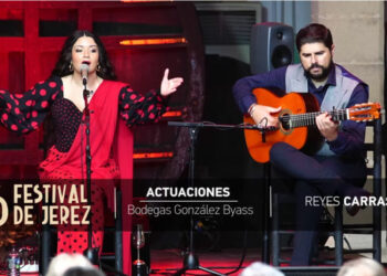 Reyes Carrasco - video