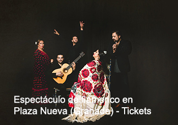  Espectáculo de flamenco en Plaza Nueva, en el Centro de Granada