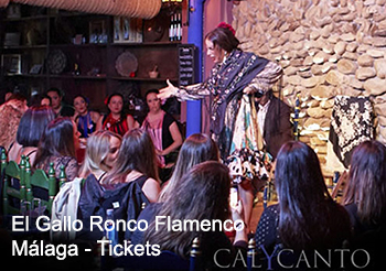 El Gallo Ronco flamenco - Málaga