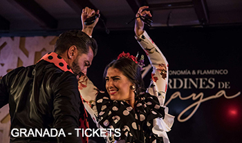 Espectáculo Flamenco en Granada
