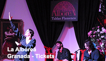Tablao Flamenco La Alboreá - Granada