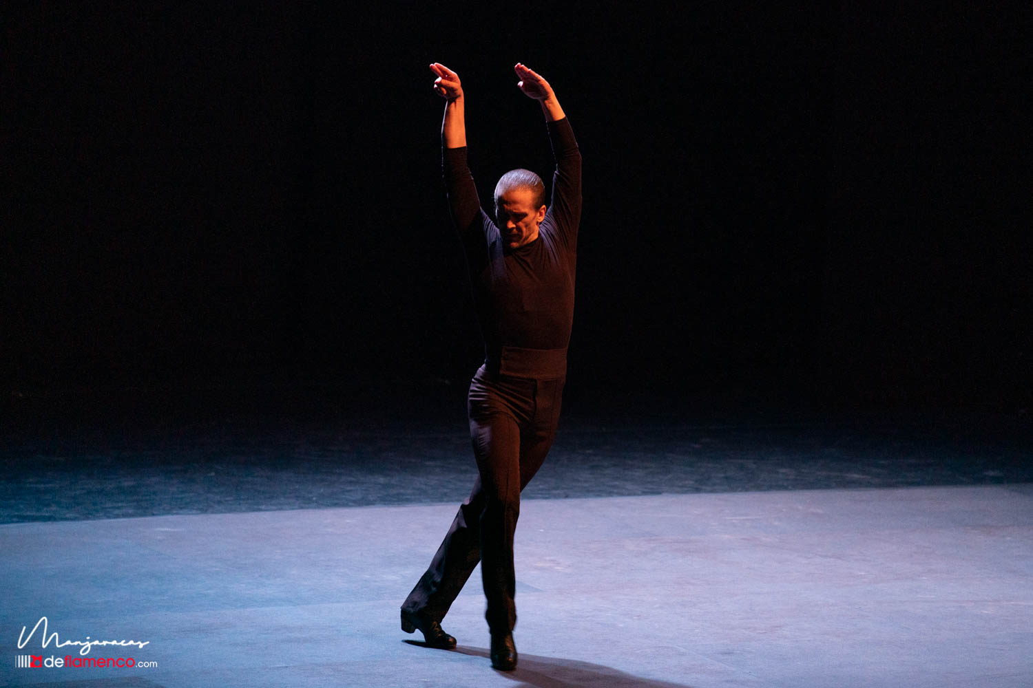 Alfonso Losa - Certamen de coreografía de danza española y flamenco