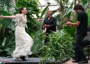 Lucía la Piñona - Abril - Festival Flamenco Madrid