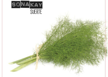 sonakay suerte cd