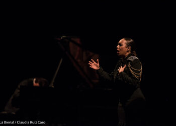 María Terremoto - Pedro Ricardo Miño - La Bienal