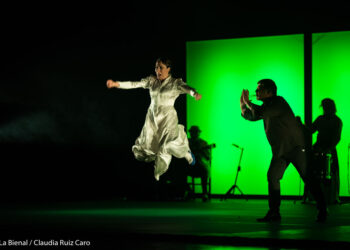 Ana Morales - Peculiar - La Bienal