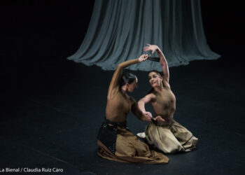 Paula Comitre - Alegorías - La Bienal