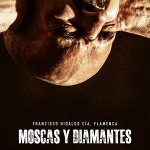 Moscas y diamantes - Francisco HIdalgo