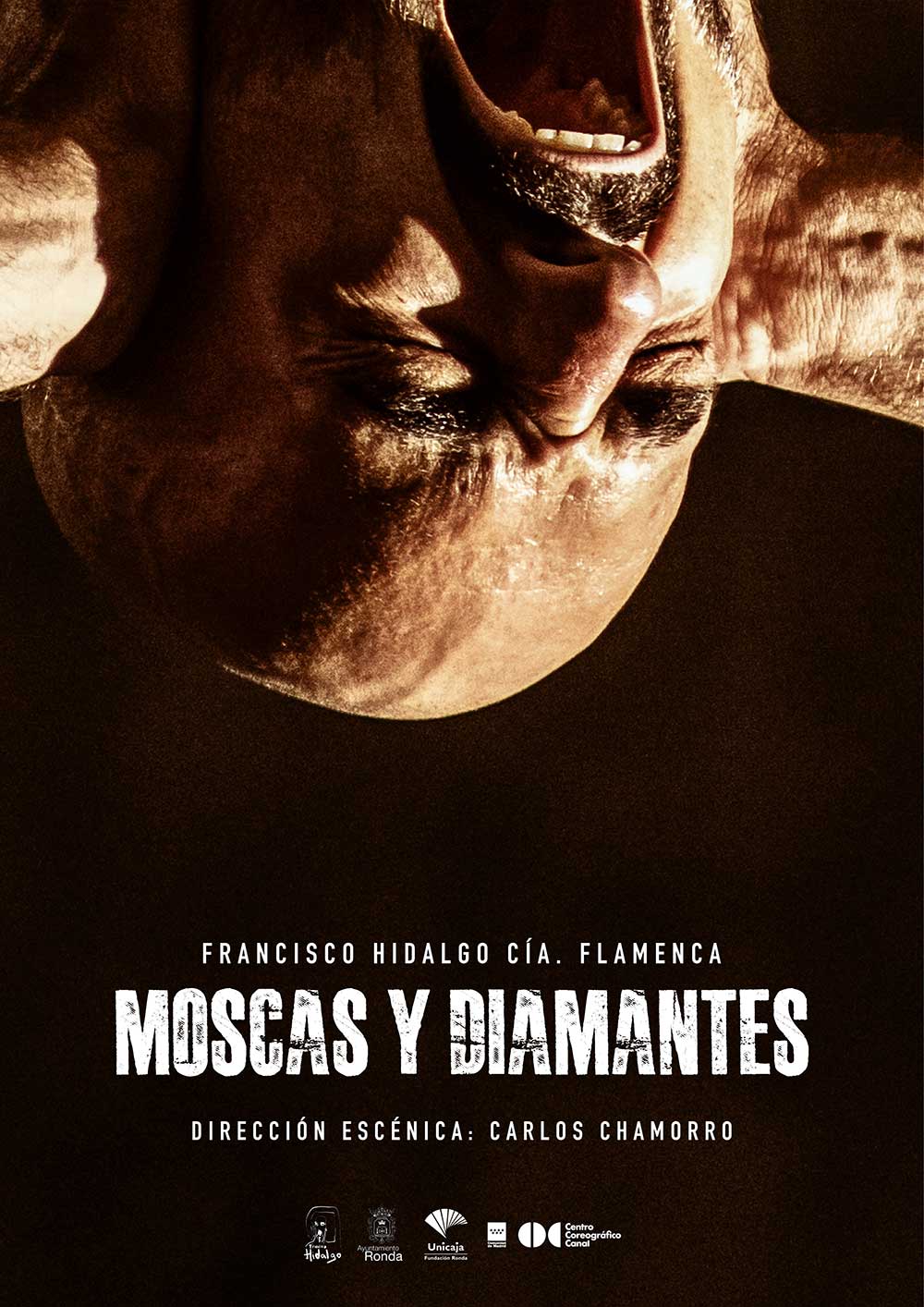 Moscas y diamantes - Francisco HIdalgo