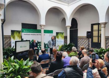 Fundación Manolo Sanlúcar