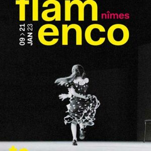 Festival Flamenco Nimes