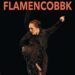 flamenco bbk