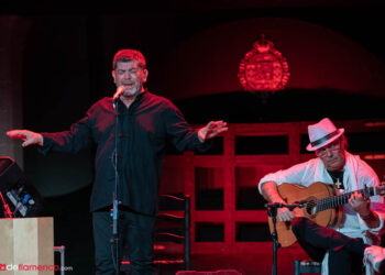 Perrate - Festival de Jerez