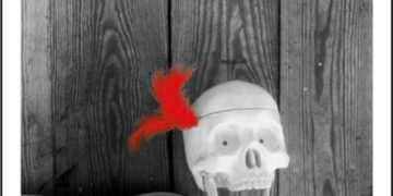 Desvarío - Nou Barris