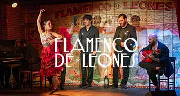 Flamenco de Leones - Madrid
