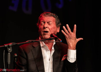 Luis el Zambo - Domingo Rubichi