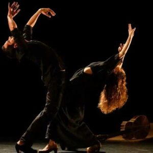 Olga Pericet, De la Leona a la Invencible