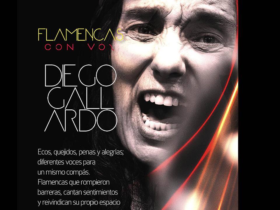 Diego Gallardo fotos - Rivas Flamenca 2024