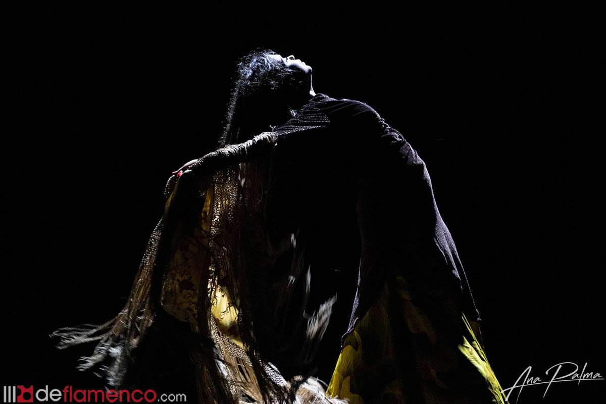 Irene Morales «Veredicta» – fotografías