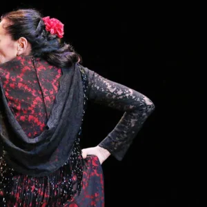 Carmen Cortés - Festival de San Lorenzo