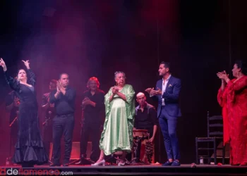 Gema Moneo - Fiesta de la Bulería