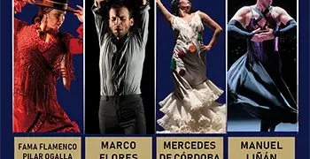 Cursos de Verano - Jerez 2025