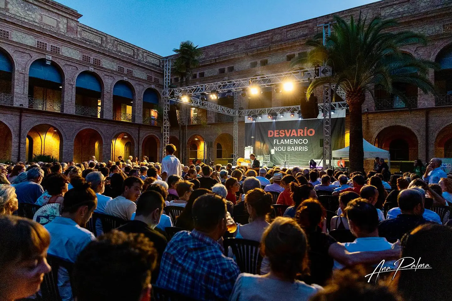 Desvarío Flamenco 2025 en fotografías