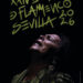 Cartel de la Bienal de Flamenco de SEvilla 2026 - Emilio Morenatti