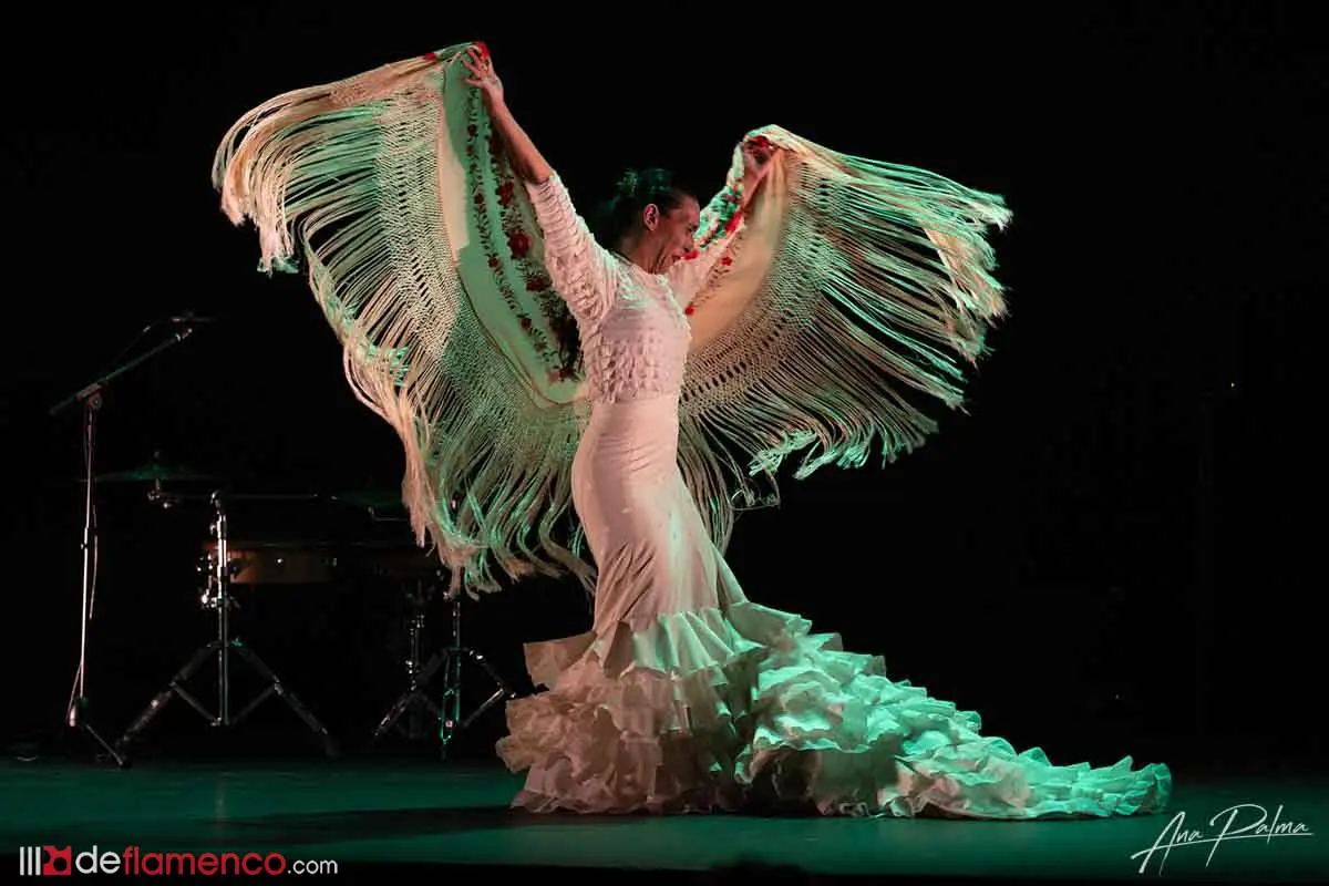 Fotografías & vídeo – Carmen Herrera «Gherra»