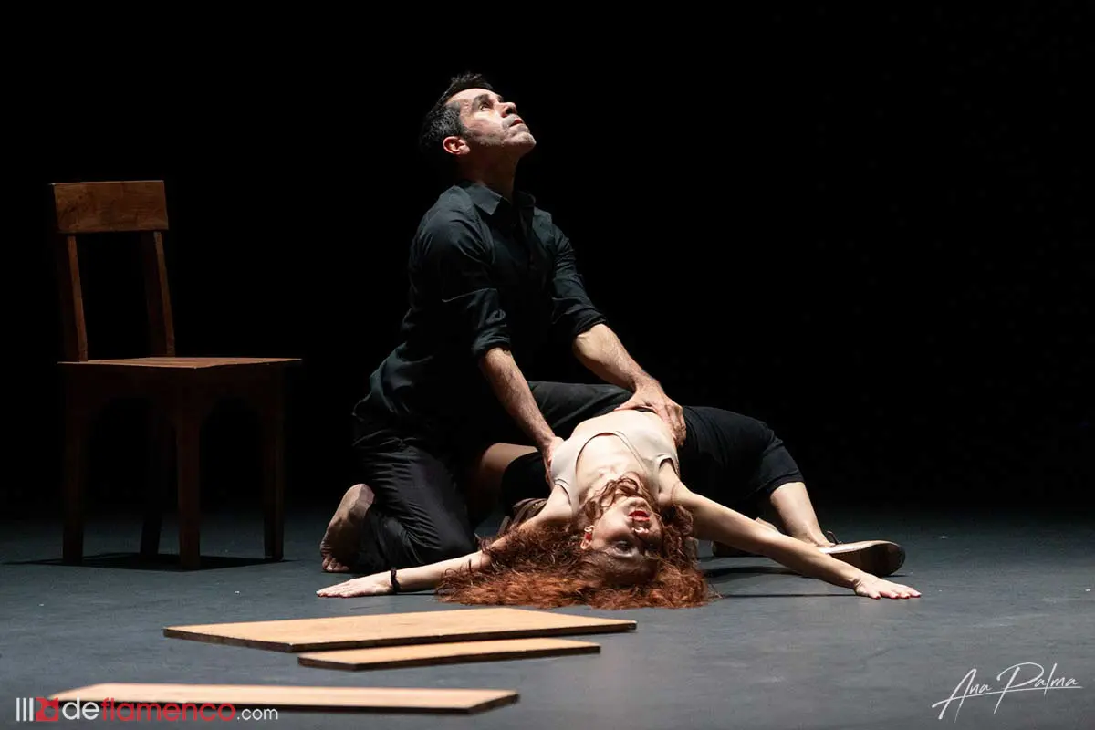 Fotografías & vídeo – Olga Pericet «La Materia»