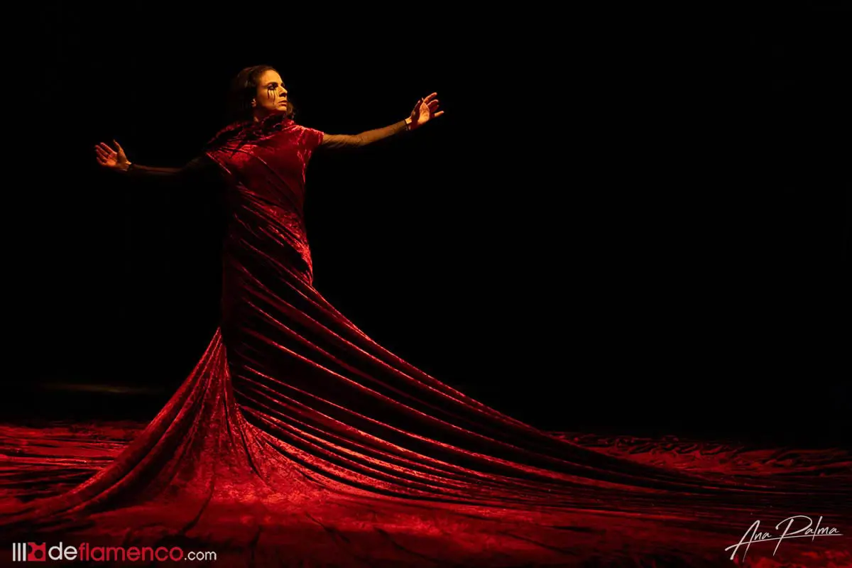 Fotografías & vídeo – Sara Calero «El renacer»