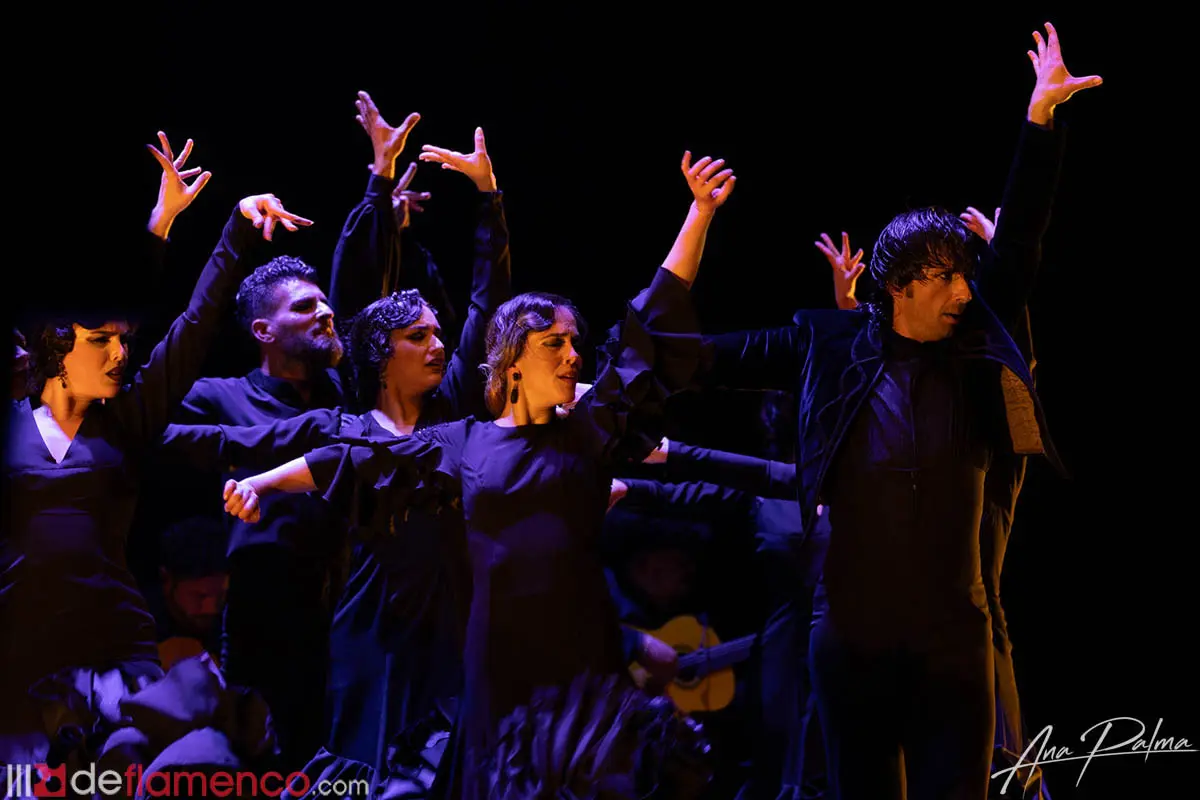 Fotografías & vídeo – Ballet Flamenco de Andalucía «Tierra Bendita»