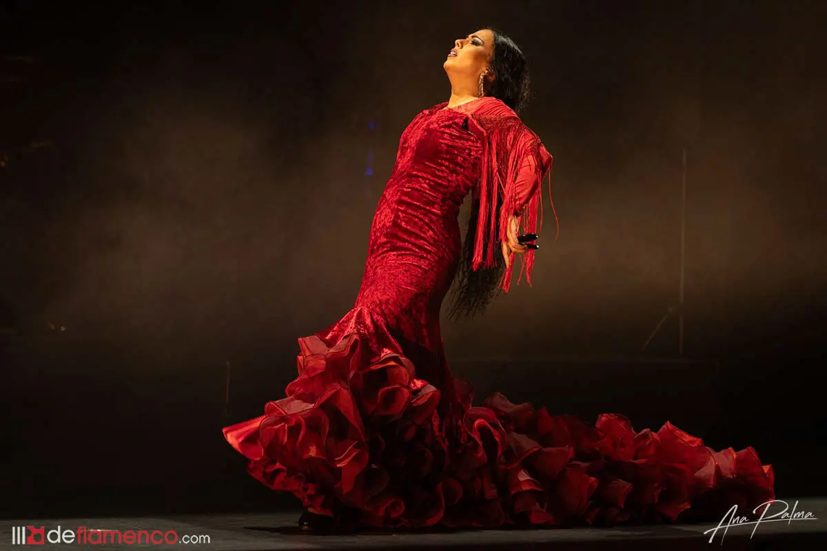 Fotografías & vídeo – Cía Belén López «Latidos»