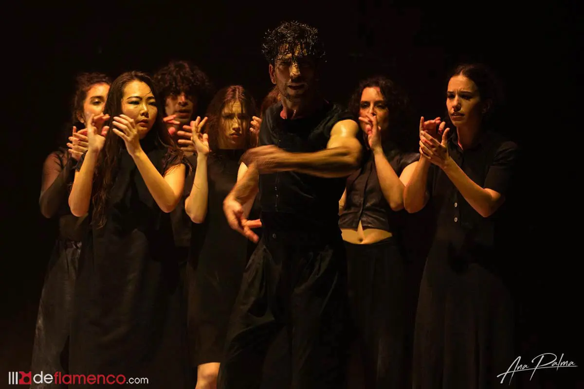 Fotografías & vídeo – Cía David Coria «Babel [Work in Progress]