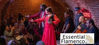 Teatro Flamenco Torero - Essential flamenco