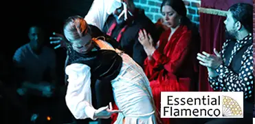 Teatro Flamenco Torero - Essential flamenco